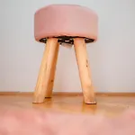 Fani