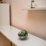 Apartament Fani